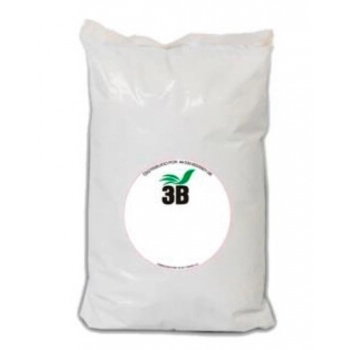 GESSO 3B LENTO